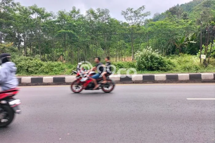 Tanah Dijual Lokasi Banyuputih, Batang Luas 6830m2 Legalitas Aman Tanah Dijual Lokasi Banyuputih, Batang Luas 6830m2 Legalitas Aman