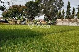 Jarang Ada! Tanah di Soreang Punya Luas 6490m2 SHM Jarang Ada! Tanah di Soreang Punya Luas 6490m2 SHM