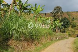 Lahan untuk Dijual Lokasi Coblong, Bandung Luas 10000m2 SHM Lahan untuk Dijual Lokasi Coblong, Bandung Luas 10000m2 SHM