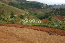 Tanah untuk Dijual di Coblong Bandung Luas 3100m2 Tanah untuk Dijual di Coblong Bandung Luas 3100m2