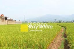 Kavling Tanah di Soreang Dijual Luas 6490m2 Legalitas SHM Kavling Tanah di Soreang Dijual Luas 6490m2 Legalitas SHM