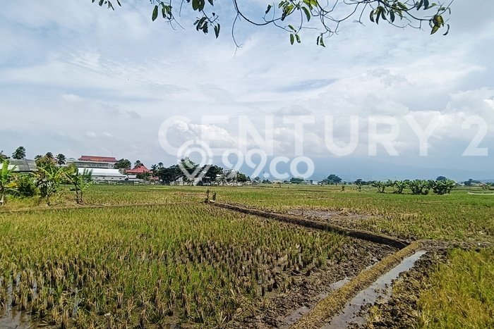 Tanah Dijual Lokasi Soreang, Bandung Luas 6800m2 Legalitas Aman Tanah Dijual Lokasi Soreang, Bandung Luas 6800m2 Legalitas Aman