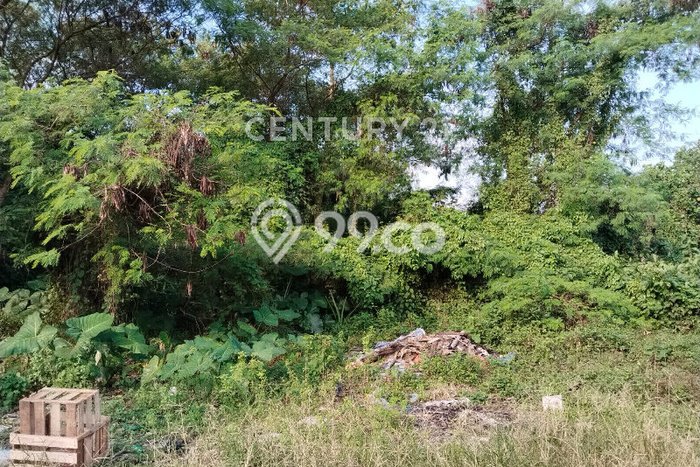 Tanah Dijual Lokasi Cihideung, Tasikmalaya Luas 7119m2 Legalitas Aman Tanah Dijual Lokasi Cihideung, Tasikmalaya Luas 7119m2 Legalitas Aman