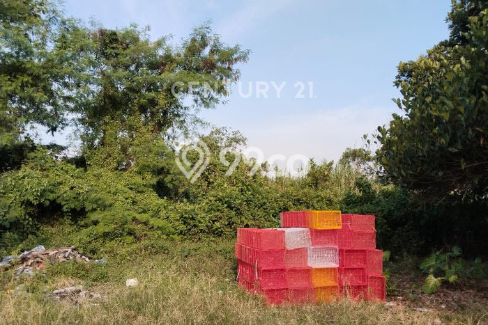 Tanah Dijual Lokasi Cihideung, Tasikmalaya Luas 7119m2 Legalitas Aman Tanah Dijual Lokasi Cihideung, Tasikmalaya Luas 7119m2 Legalitas Aman