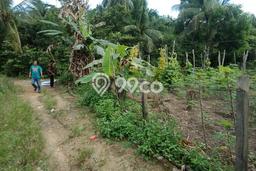 Untuk Dijual Tanah di Toboali Bangka Selatan Luas 750m2 SHM Untuk Dijual Tanah di Toboali Bangka Selatan Luas 750m2 SHM