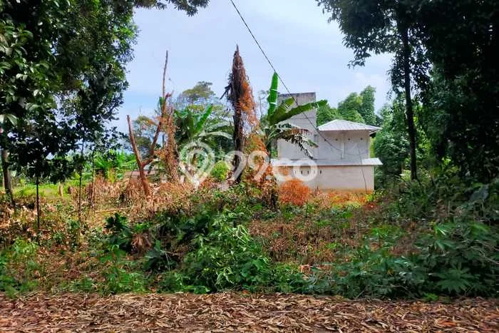 Lahan untuk Dijual Lokasi Sijuk, Belitung Luas 654m2 SHM Lahan untuk Dijual Lokasi Sijuk, Belitung Luas 654m2 SHM