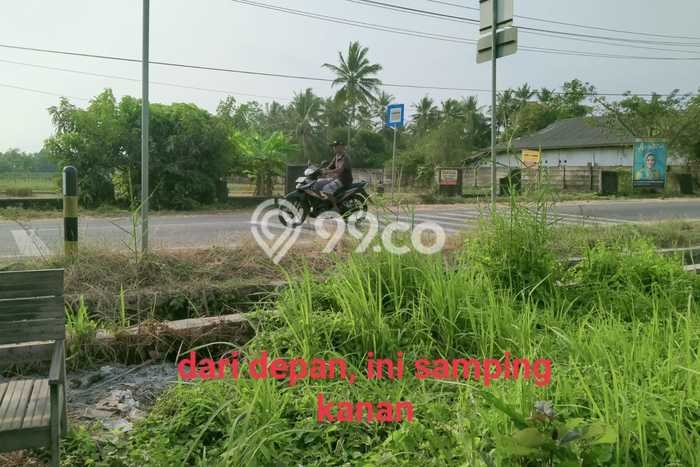 Jarang Ada! Tanah di Serang Punya Luas 15000m2 SHM Jarang Ada! Tanah di Serang Punya Luas 15000m2 SHM
