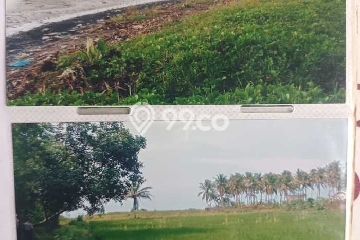 Jarang Ada! Tanah di Serang Punya Luas 15000m2 SHM Jarang Ada! Tanah di Serang Punya Luas 15000m2 SHM