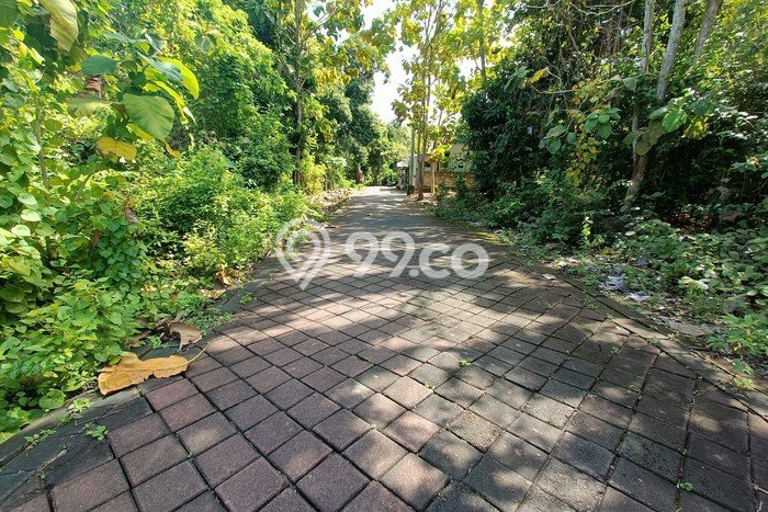 Disewakan Tanah di Nusa Dua, Luas 4150m², Lokasi Potensial Disewakan Tanah di Nusa Dua, Luas 4150m², Lokasi Potensial