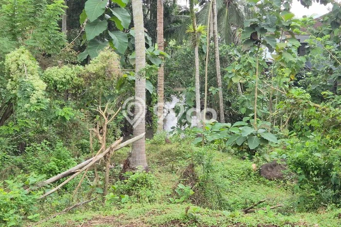 Tanah Kavling Dijual di Bantas, Tabanan dengan Luas Tanah 2690m2 Tanah Kavling Dijual di Bantas, Tabanan dengan Luas Tanah 2690m2