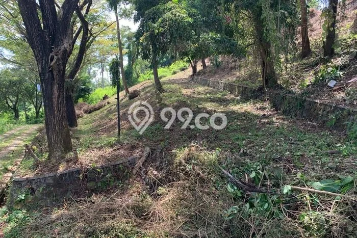 Tanah Dijual Lokasi Batu Layar, Lombok Barat Luas 2291m2 Legalitas Aman Tanah Dijual Lokasi Batu Layar, Lombok Barat Luas 2291m2 Legalitas Aman
