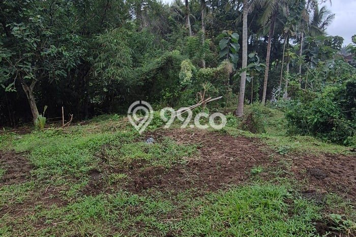 Tanah Kavling Dijual di Tabanan dengan Spesifikasi 2690m2 Tanah Kavling Dijual di Tabanan dengan Spesifikasi 2690m2