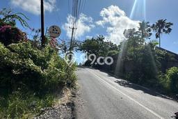 Tanah Dijual Area Strategis di Ungasan Badung 1300m2 Tanah Dijual Area Strategis di Ungasan Badung 1300m2