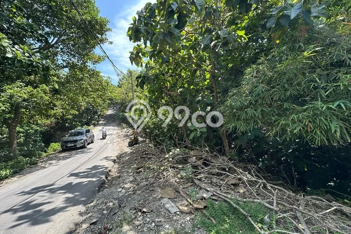 Jarang Ada! Tanah Kavling Disewakan di Badung 1000m2 Jarang Ada! Tanah Kavling Disewakan di Badung 1000m2