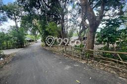 Tanah Disewa di Pecatu Strategis dan Memiliki Luas 2000m2 Tanah Disewa di Pecatu Strategis dan Memiliki Luas 2000m2
