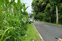 Lahan Kosong Dijual di Gianyar dengan Area 3000m2 Lahan Kosong Dijual di Gianyar dengan Area 3000m2