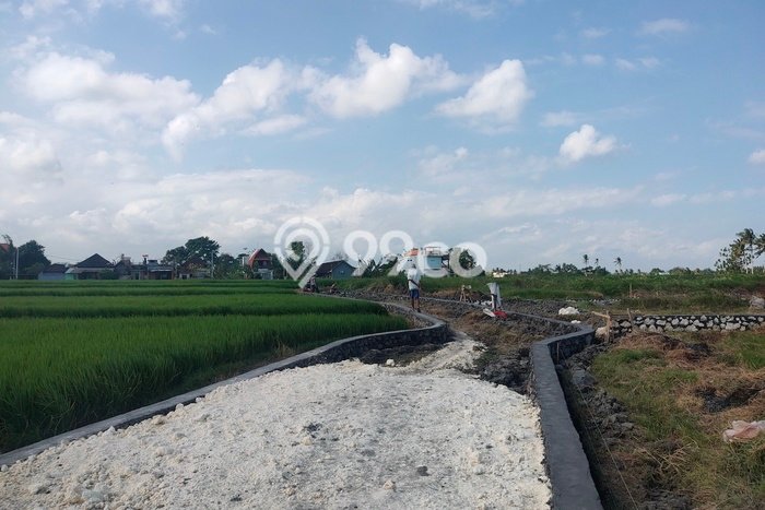 Tanah Siap Bangun Dijual di Badung Punya Luas 189m2 Tanah Siap Bangun Dijual di Badung Punya Luas 189m2