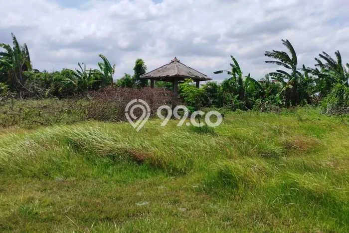 Tanah Dijual Area Strategis di Klecung Tabanan 8000m2 Tanah Dijual Area Strategis di Klecung Tabanan 8000m2