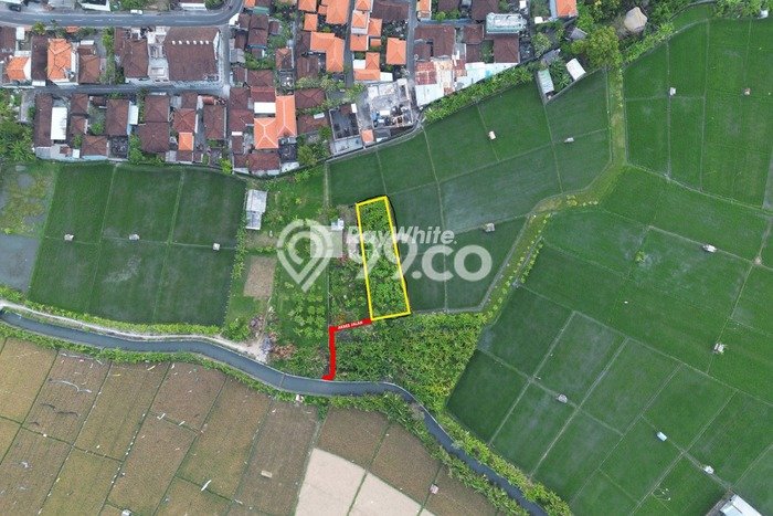 Tanah untuk Disewa di Badung Luas 610m2 Tanah untuk Disewa di Badung Luas 610m2