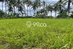Dijual Tanah Lokasi Saba, Gianyar Seluas 1780m2 Dijual Tanah Lokasi Saba, Gianyar Seluas 1780m2