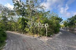 Kavling Tanah untuk Disewa di Pecatu Lahan Luas 1000m2 Kavling Tanah untuk Disewa di Pecatu Lahan Luas 1000m2