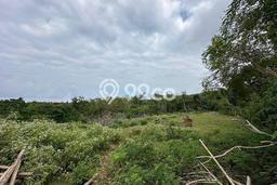 Tanah Kavling Dijual di Badung dengan Spesifikasi 270m2 Tanah Kavling Dijual di Badung dengan Spesifikasi 270m2
