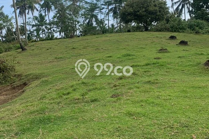 Lahan untuk Dijual Lokasi Pekutatan, Jembrana Luas 6400m2 - Lahan untuk Dijual Lokasi Pekutatan, Jembrana Luas 6400m2 -