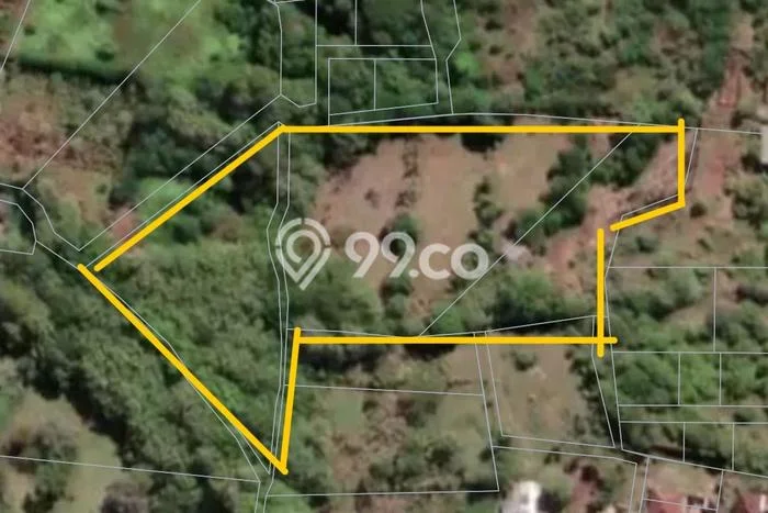 Tanah Dijual Lokasi Strategis di Badung dengan Luas 9700m2 Tanah Dijual Lokasi Strategis di Badung dengan Luas 9700m2