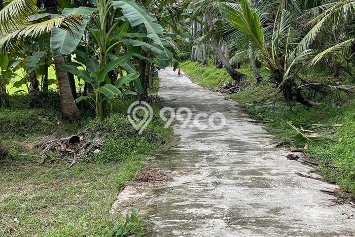 Tanah Dijual Area Strategis di Saba Gianyar 1738m2 Tanah Dijual Area Strategis di Saba Gianyar 1738m2