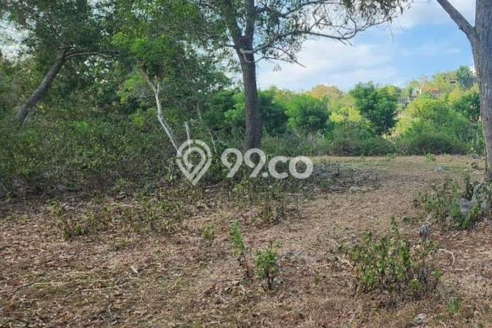 Untuk Disewa Tanah di Balangan Badung Seluas 15500m2 Untuk Disewa Tanah di Balangan Badung Seluas 15500m2