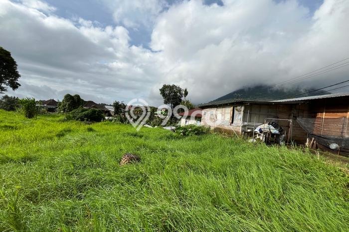 Tanah Kavling Dijual di Bedugul, Tabanan dengan Luas Tanah 1200m2 Tanah Kavling Dijual di Bedugul, Tabanan dengan Luas Tanah 1200m2
