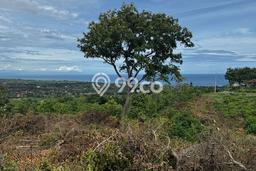 Tanah Kavling Disewakan di Lovina dengan Luas 17800m2 Tanah Kavling Disewakan di Lovina dengan Luas 17800m2