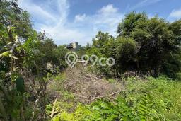 Dijual Tanah Lokasi Pecatu, Badung Seluas 200m2 Dijual Tanah Lokasi Pecatu, Badung Seluas 200m2