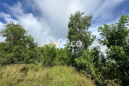 Tanah Disewakan Lokasi Badung Seluas 500m2 Strategis dan Aman Tanah Disewakan Lokasi Badung Seluas 500m2 Strategis dan Aman