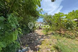 Disewakan Tanah di uluwatu Badung Seluas 500m2 Disewakan Tanah di uluwatu Badung Seluas 500m2