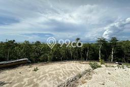 Kavling Tanah untuk Disewa di Uluwatu Lahan Luas 500m2 Kavling Tanah untuk Disewa di Uluwatu Lahan Luas 500m2