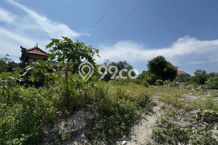 Disewakan Tanah di Badung, Luas 1000m2 Area Berkembang Disewakan Tanah di Badung, Luas 1000m2 Area Berkembang