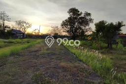 Tanah Dijual Area Strategis di Balangan Badung 520m2 Tanah Dijual Area Strategis di Balangan Badung 520m2