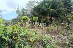 Lahan Disewakan Lokasi Pecatu Badung Luas 600m2 Lahan Disewakan Lokasi Pecatu Badung Luas 600m2