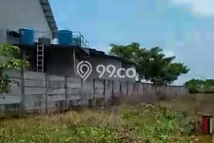 Tanah Dijual Lokasi Widang Tuban SHM Tanah Dijual Lokasi Widang Tuban SHM