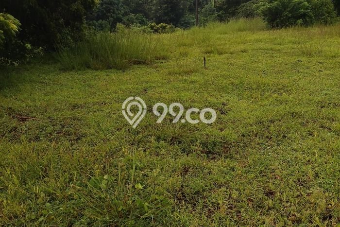Lahan Kosong Dijual di Buleleng dengan Area 12000m2 Lahan Kosong Dijual di Buleleng dengan Area 12000m2