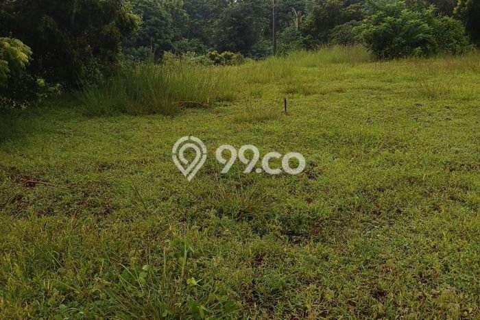 Lahan Kosong Dijual di Buleleng dengan Area 12000m2 Lahan Kosong Dijual di Buleleng dengan Area 12000m2