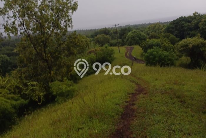 Lahan Kosong Dijual di Buleleng dengan Area 12000m2 Lahan Kosong Dijual di Buleleng dengan Area 12000m2