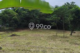 Kavling Tanah Dijual di Padalarang, Bandung Barat, Luas 2510m2 Area Strategis Kavling Tanah Dijual di Padalarang, Bandung Barat, Luas 2510m2 Area Strategis