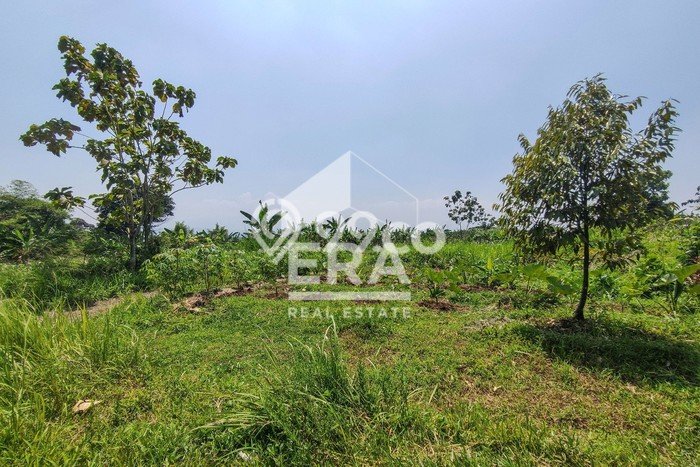 Tanah Kavling untuk Dijual di Tajur Halang Bogor 57897m2 Tanah Kavling untuk Dijual di Tajur Halang Bogor 57897m2