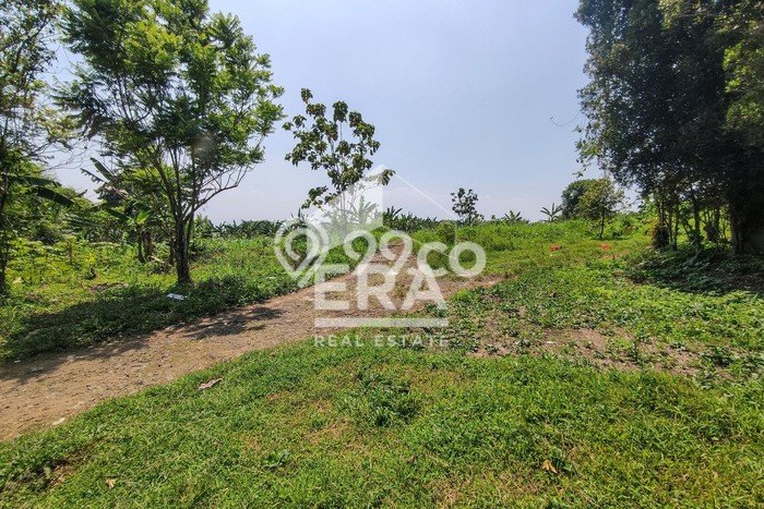 Tanah Kavling untuk Dijual di Tajur Halang Bogor 57897m2 Tanah Kavling untuk Dijual di Tajur Halang Bogor 57897m2