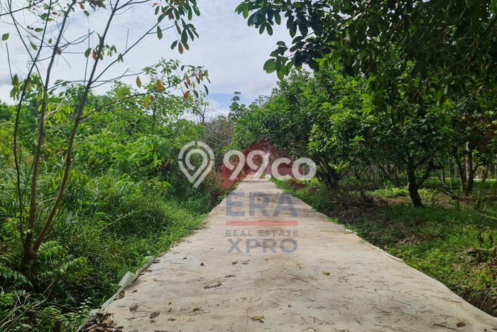 Lahan Kosong Dijual di Sungai Raya, Kubu Raya, Luas 800m2 Area Strategis Lahan Kosong Dijual di Sungai Raya, Kubu Raya, Luas 800m2 Area Strategis