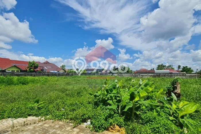 Paling Dicari! Kavling Tanah Disewakan di Pontianak Kota, Pontianak Paling Dicari! Kavling Tanah Disewakan di Pontianak Kota, Pontianak