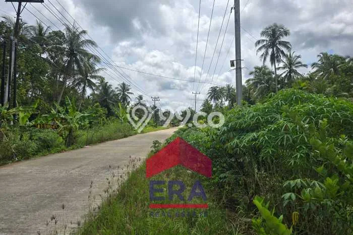 Kavling Tanah Dijual di Kubu, Kubu Raya, Luas 20850m2 Area Strategis Kavling Tanah Dijual di Kubu, Kubu Raya, Luas 20850m2 Area Strategis