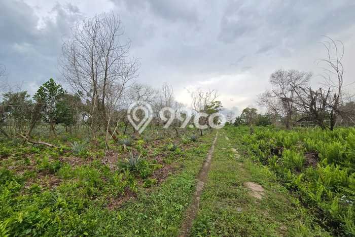 Tanah Kavling untuk Dijual di Pontianak Selatan Pontianak 1123m2 Tanah Kavling untuk Dijual di Pontianak Selatan Pontianak 1123m2